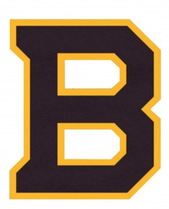 Bruins Reveal Winter Classic Logo – Black N' Gold Hockey
