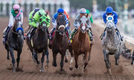 Recalling Thunderstorm: Best 5 From The Last Year’s Breeders Cup
