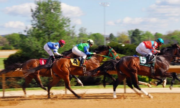 Tips to Become a Professional Jockey