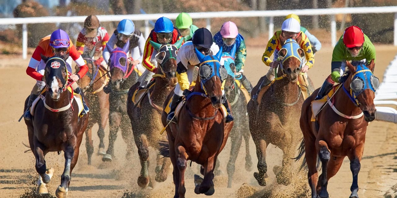The 6 Profound Reasons To Watch Breeders Cup And Embrace Horse Racing As A Sport
