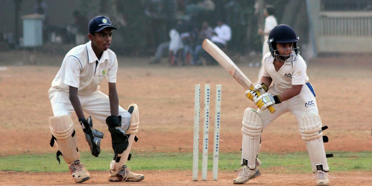 How to play cricket betting online? Want to know more