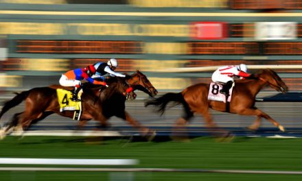 What are the Four Main Types of Horse Racing? (Flat Racing, Steeplechase and More!)